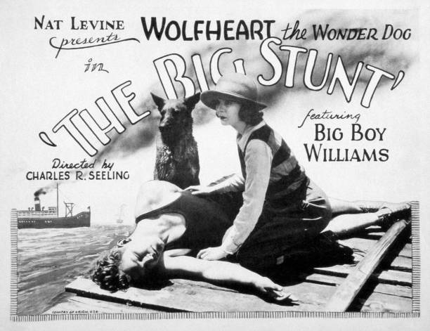 The Big Stunt The Big Stunt