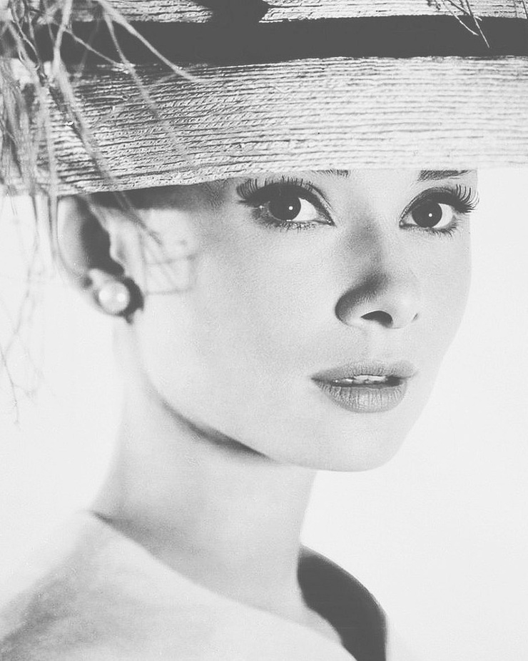 Audrey Hepburn Audrey Hepburn