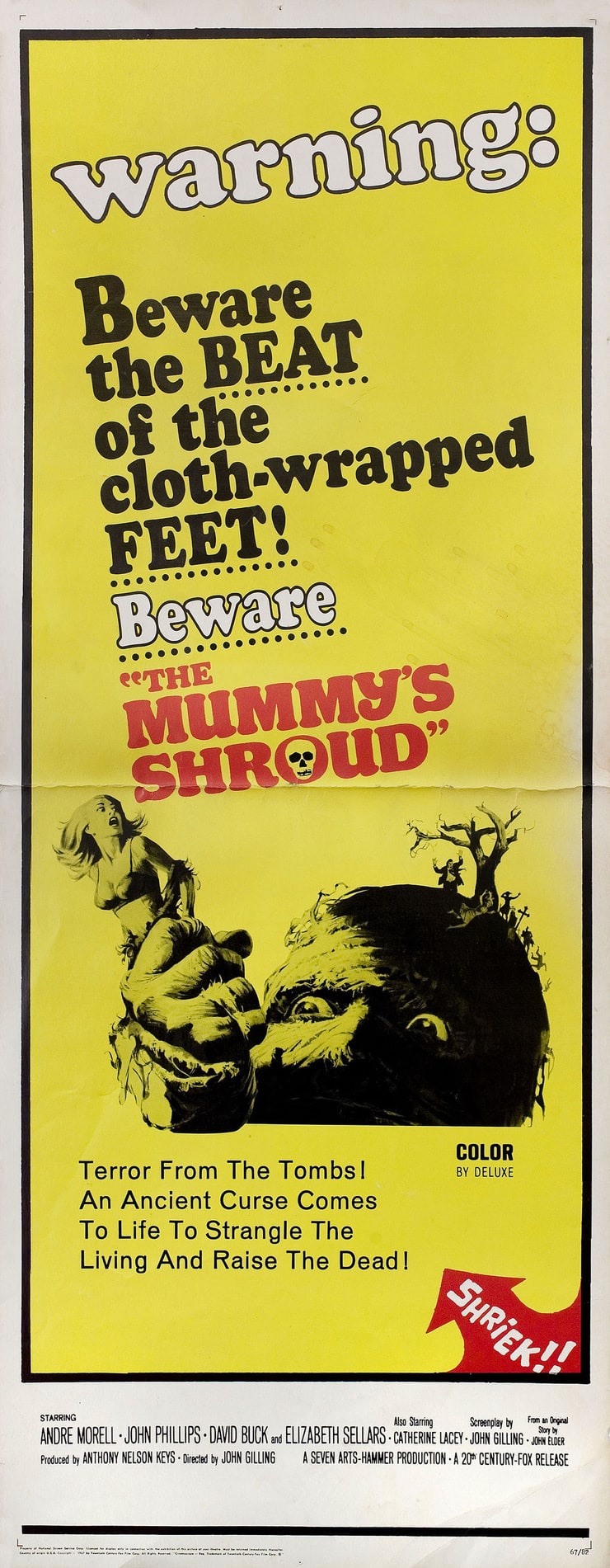 The Mummy's Shroud