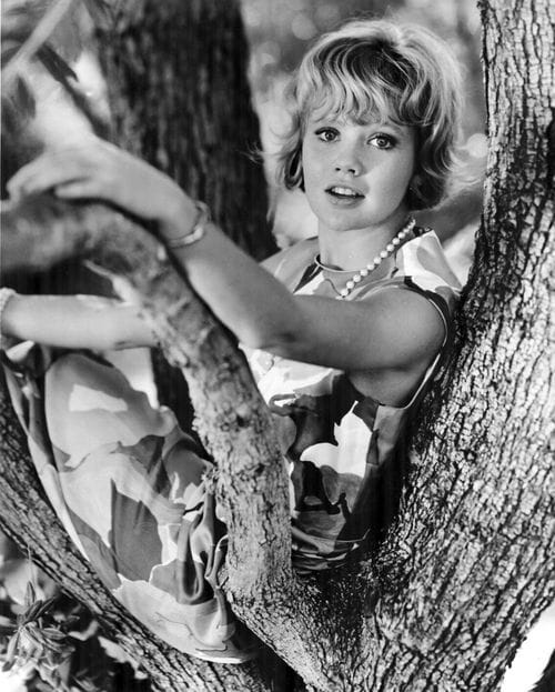 Hayley Mills