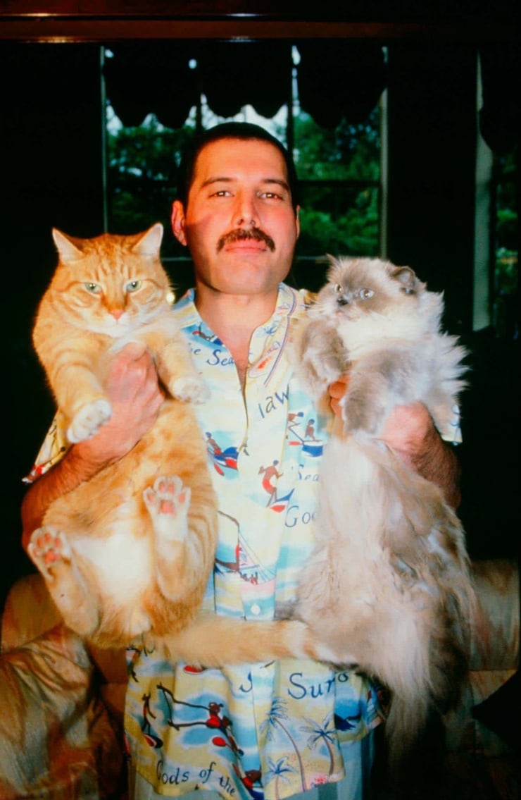 Freddie Mercury