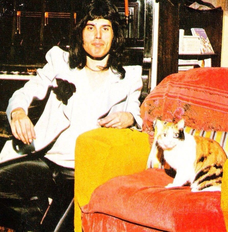 Freddie Mercury