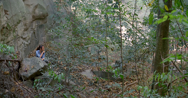 The Silver Cliff The Silver Cliff
