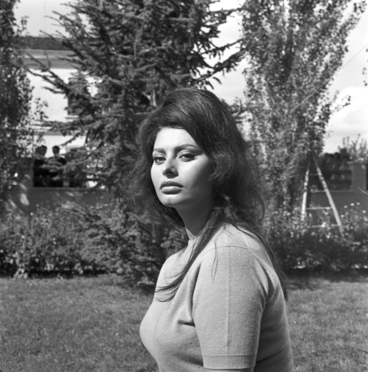 Sophia Loren