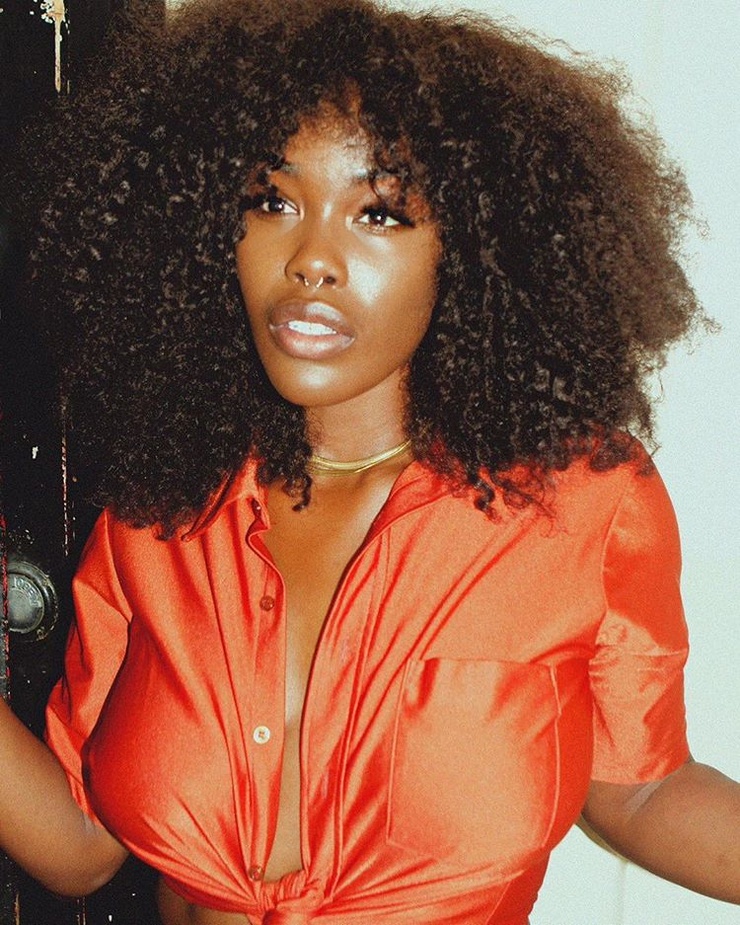 Tanerélle Tanerélle