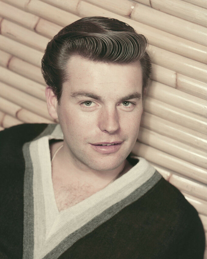 Robert Wagner