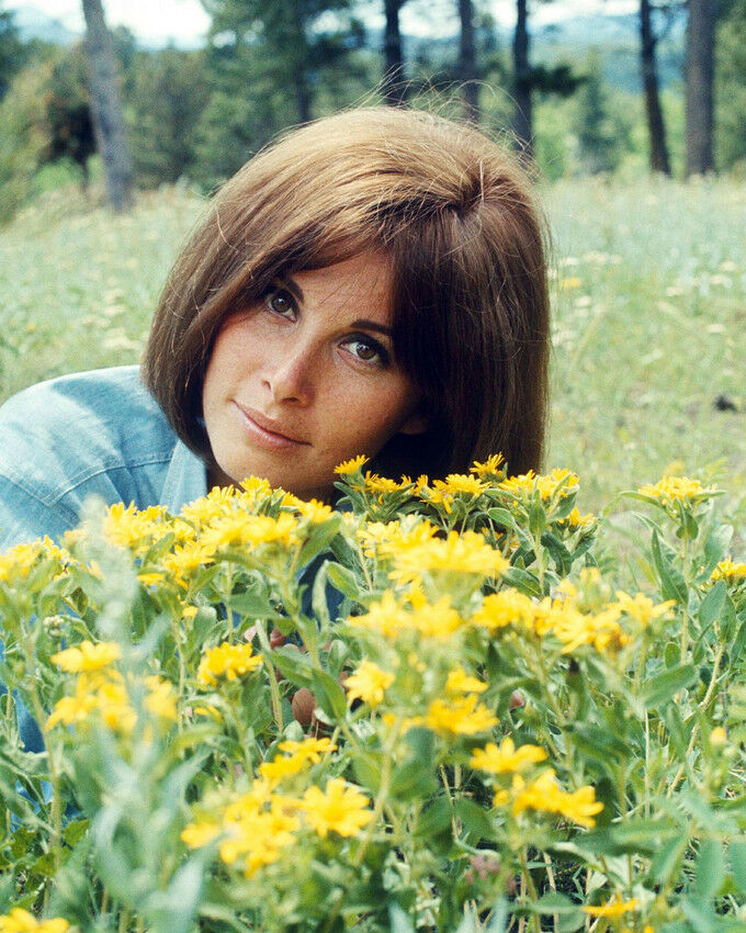 Stefanie Powers
