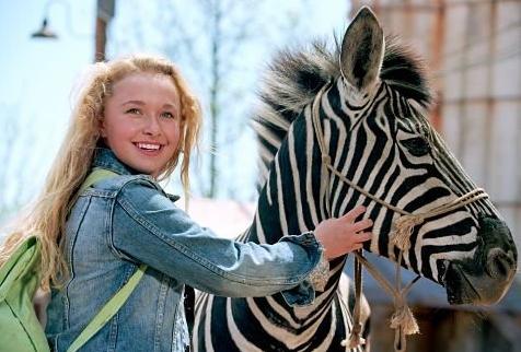 Racing Stripes Racing Stripes