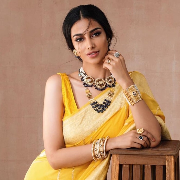 Meenakshi Chaudhary Meenakshi Chaudhary
