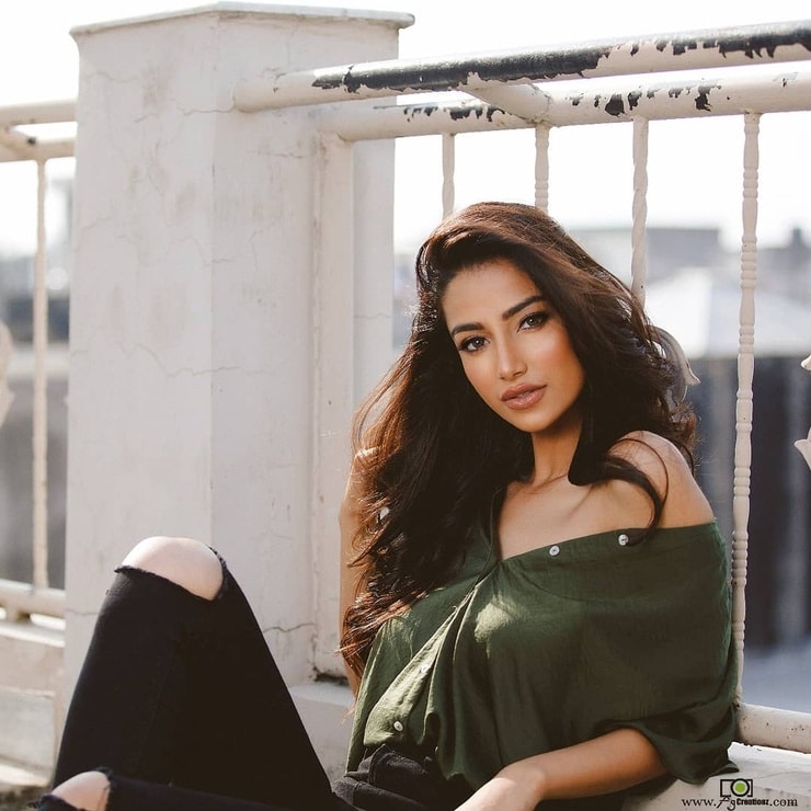 Meenakshi Chaudhary Meenakshi Chaudhary
