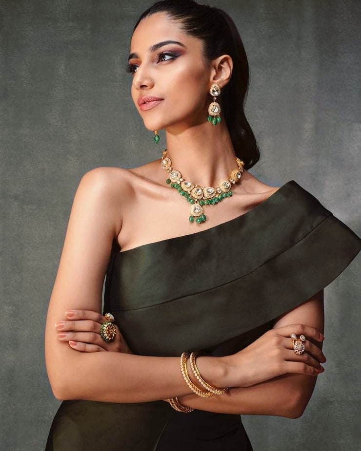 Meenakshi Chaudhary