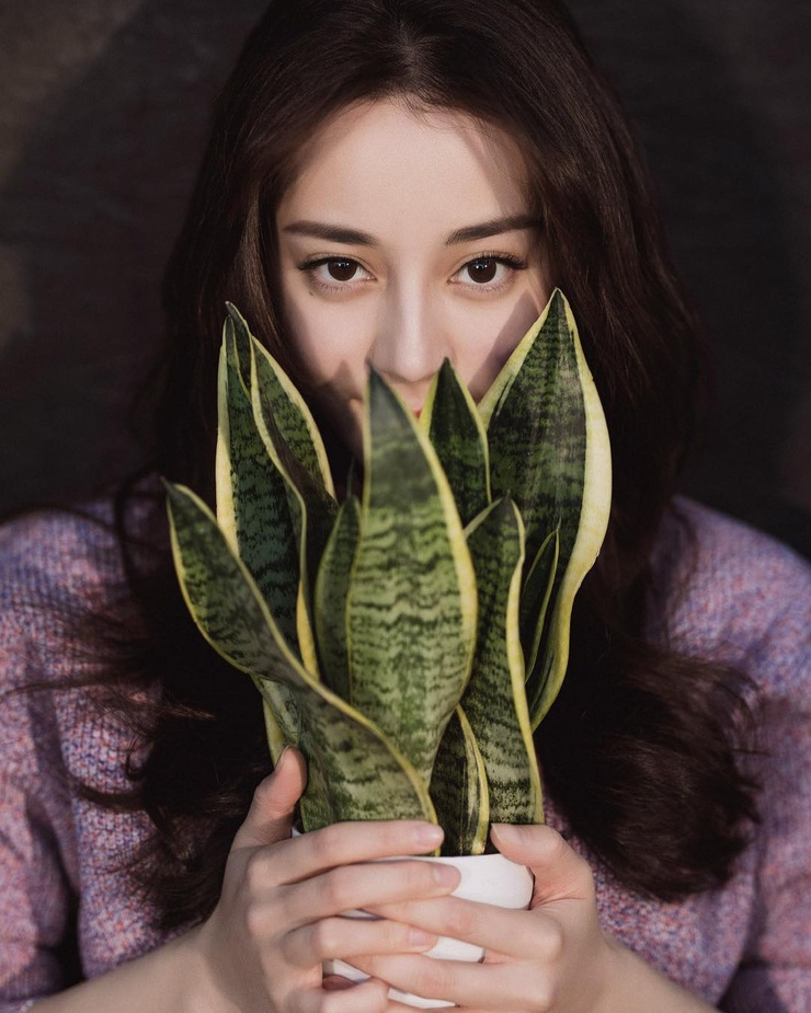 Dilraba Dilmurat