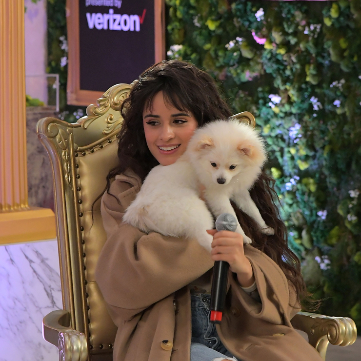 Camila Cabello