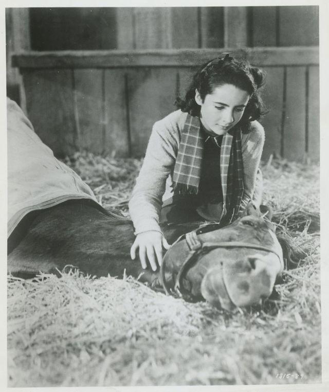 National Velvet National Velvet