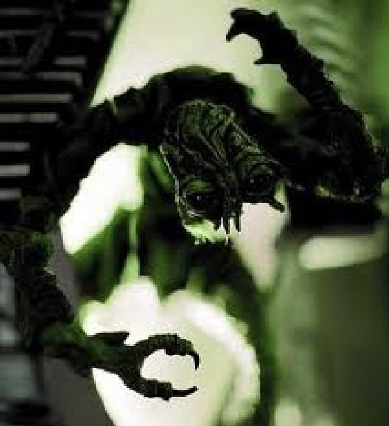 The Fly