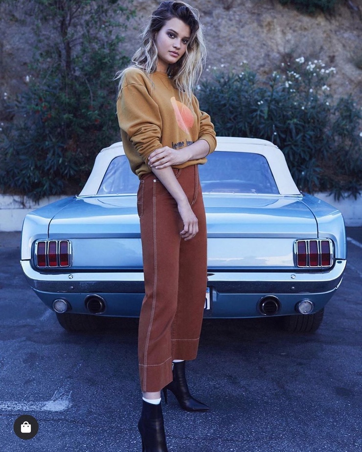 Cayley Lane King