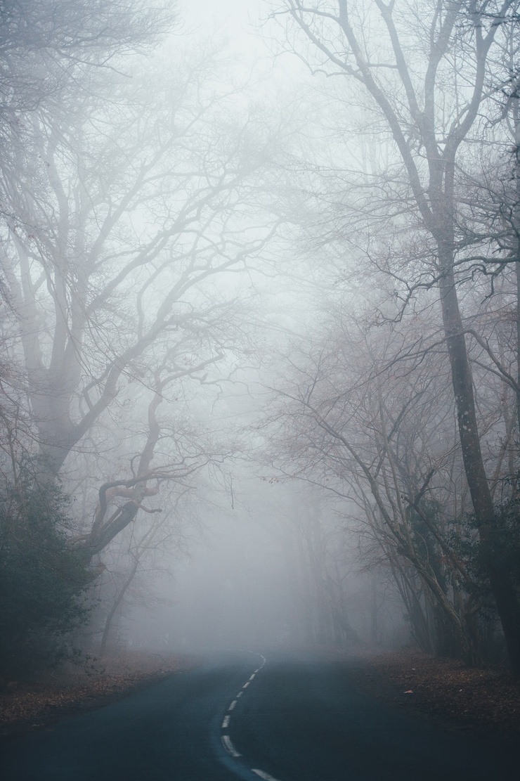 Fog