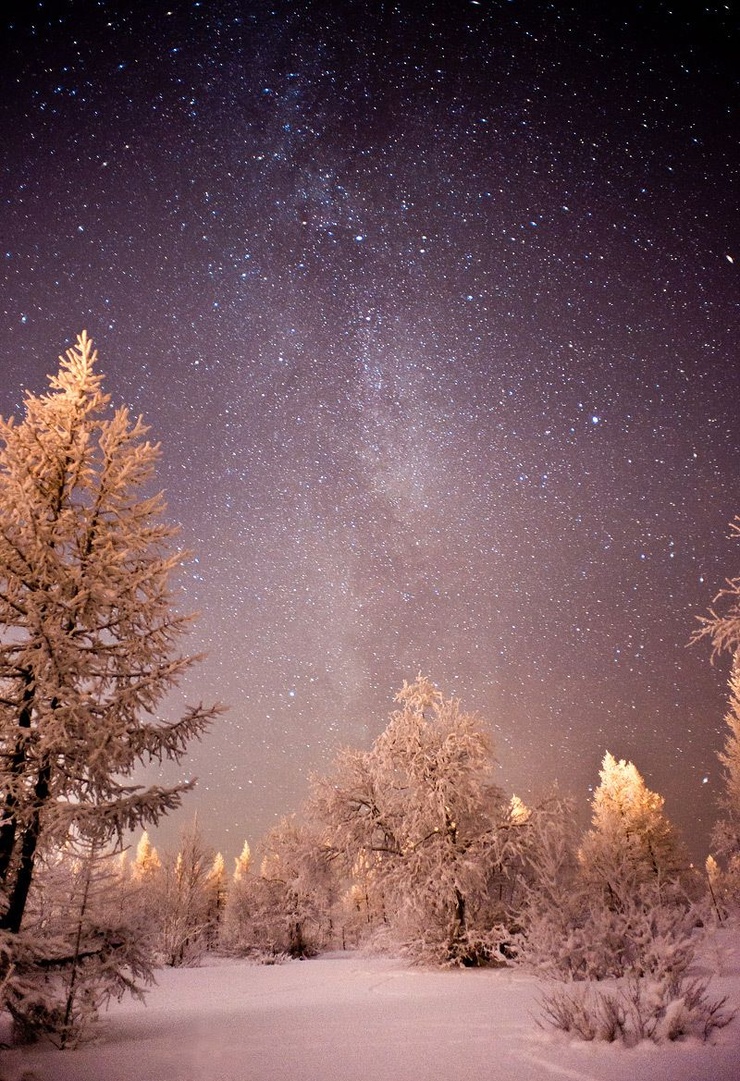 Polar Night