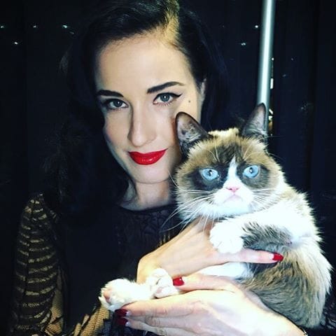 Grumpy Cat