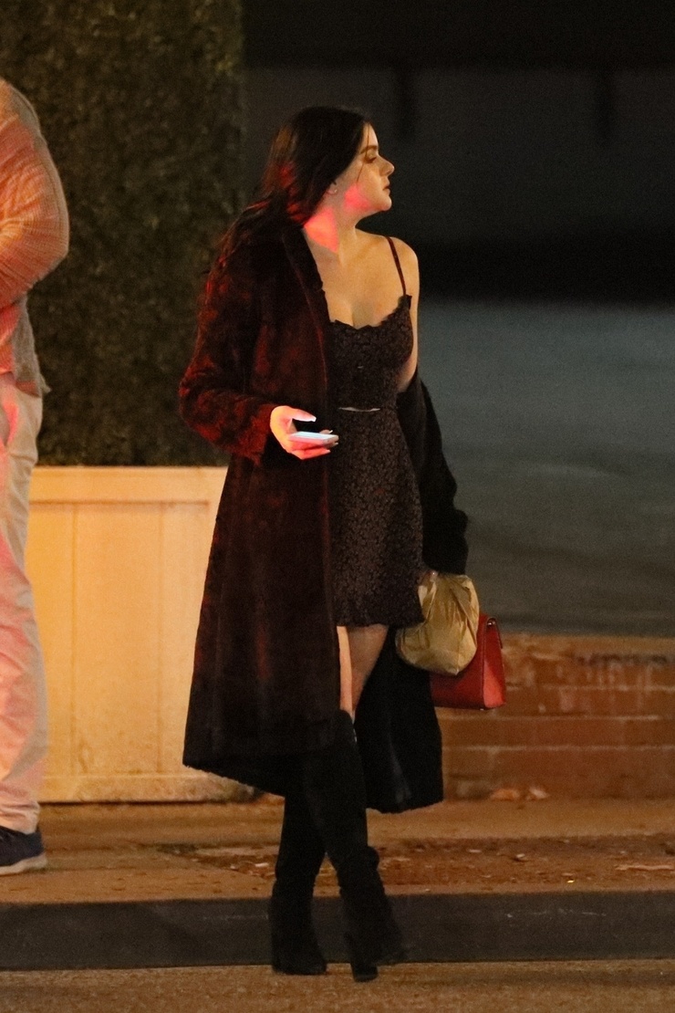 Ariel Winter