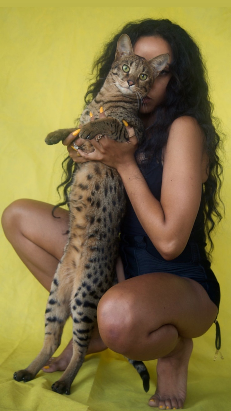 Tinashe Kachingwe Tinashe Kachingwe