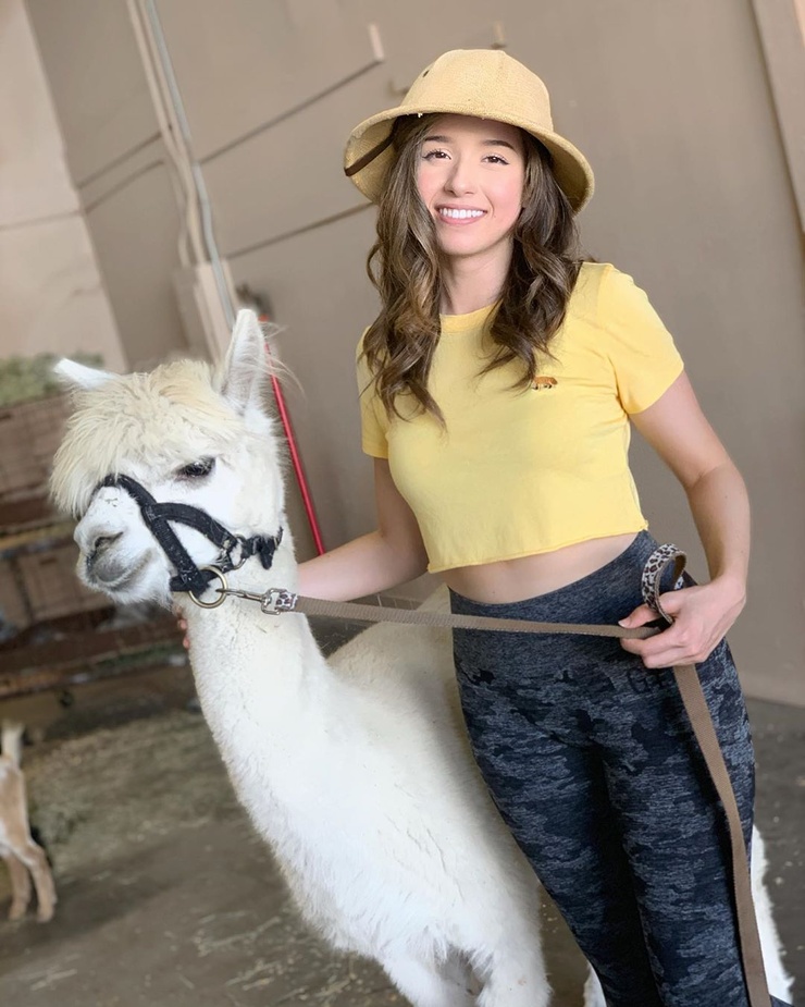 Pokimane