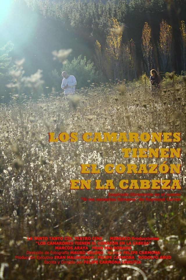 Los camarones tienen el corazón en la cabeza (2014) Los camarones tienen el corazón en la cabeza (2014)