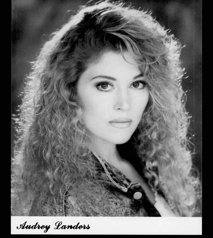 Audrey Landers Audrey Landers