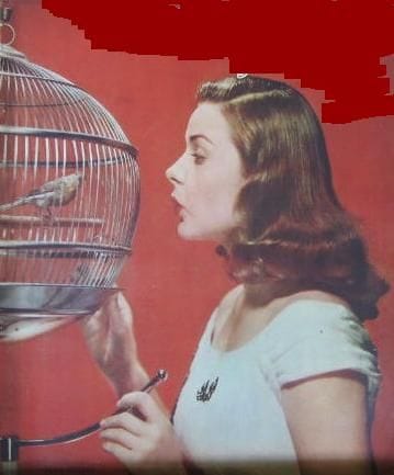 Jean Peters