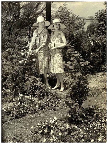 June Collyer
