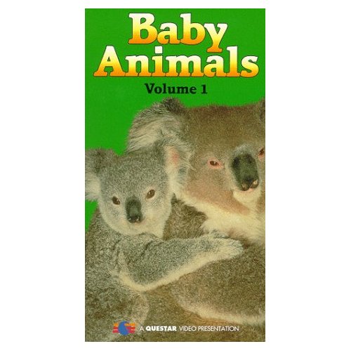 The World of Baby Animals Vol. 1
