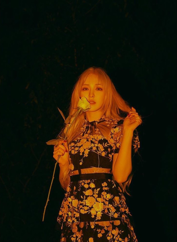 Red Velvet Red Velvet