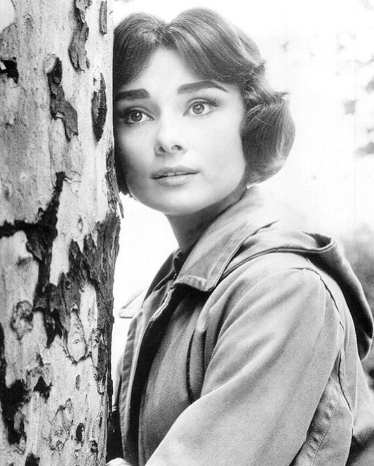 Audrey Hepburn