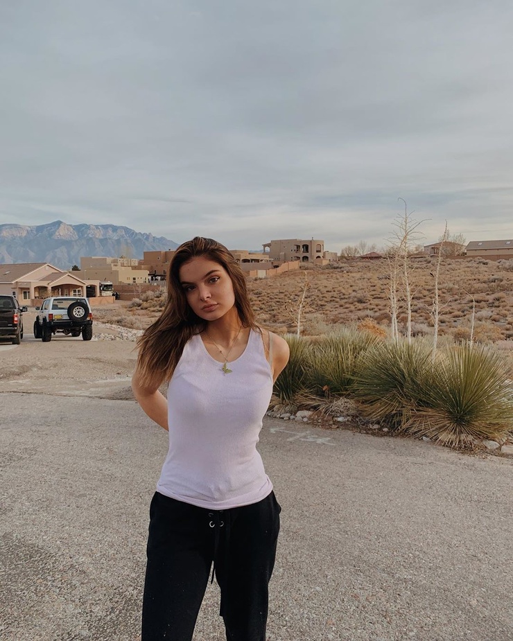 Brighton Sharbino