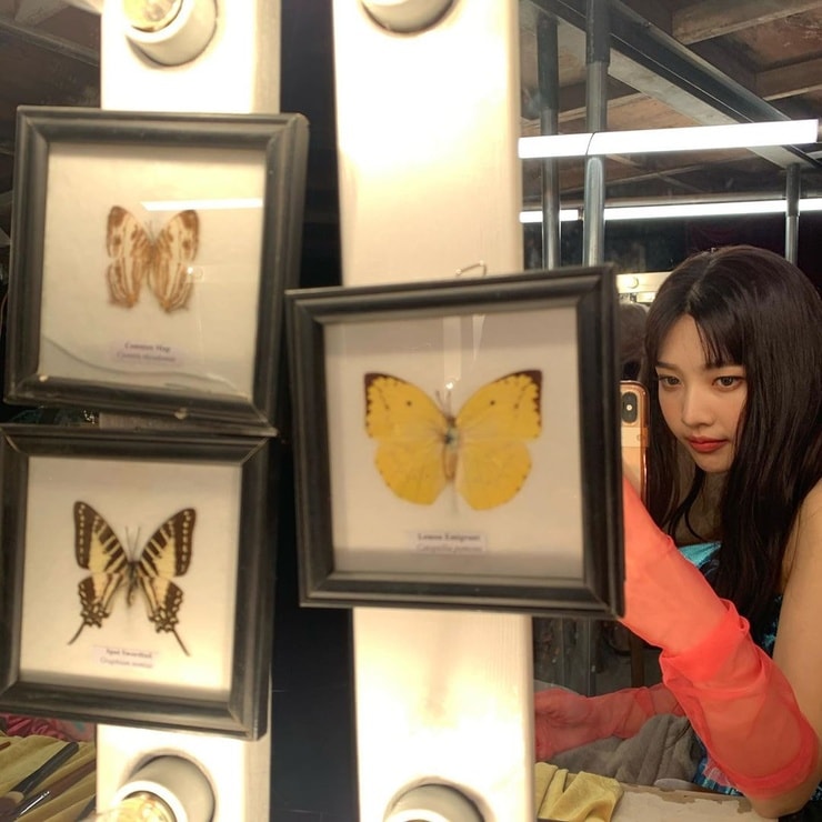 Joy (Park Soo Young)