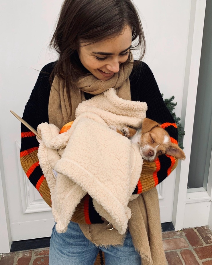 Lily Collins