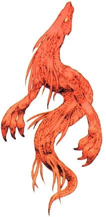 Salamander