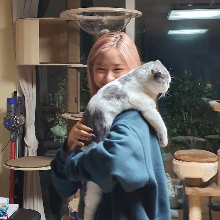 Shin Ryujin