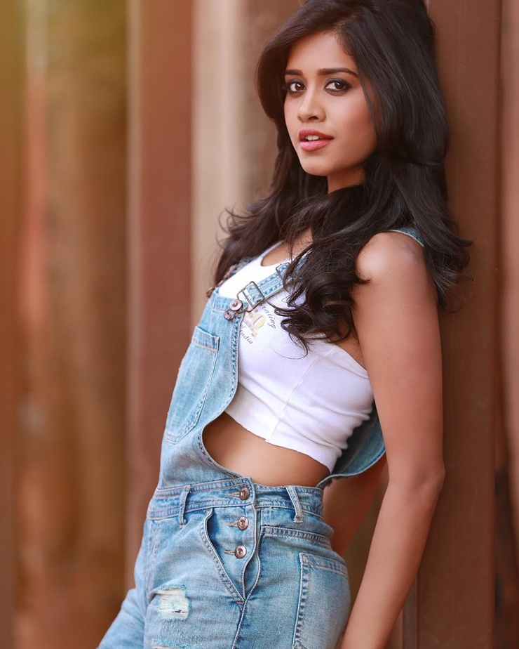 Nabha Natesh
