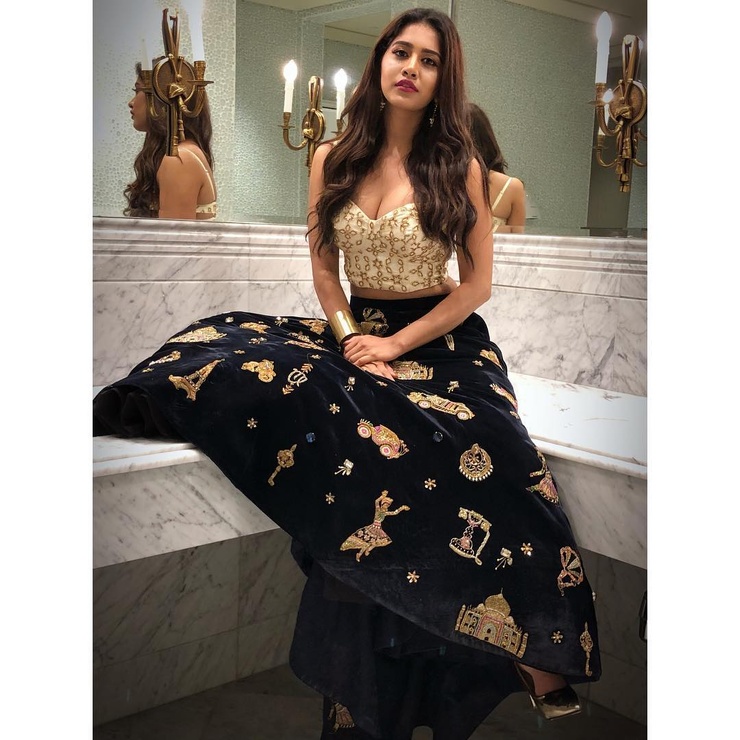 Nabha Natesh