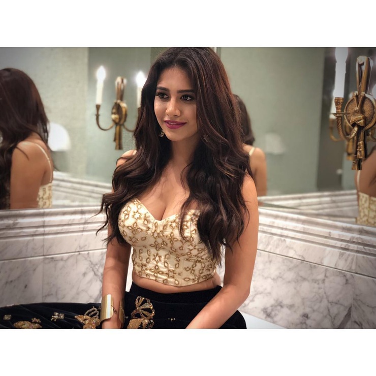 Nabha Natesh