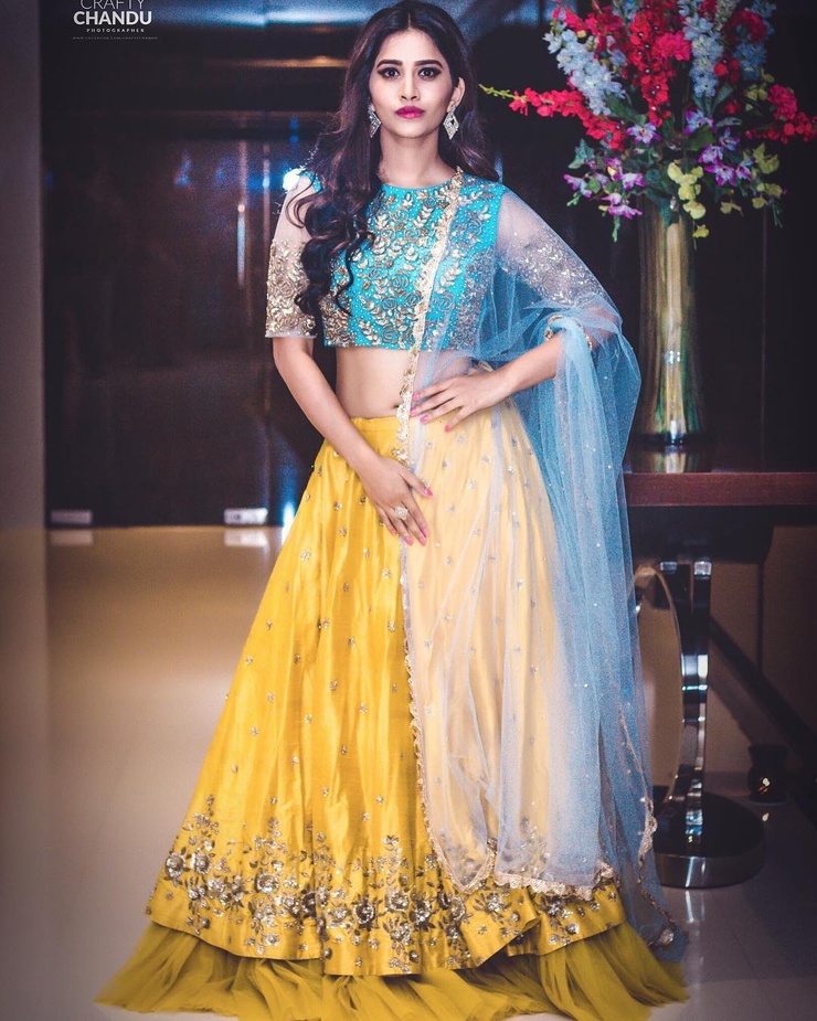 Nabha Natesh