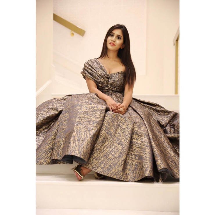 Nabha Natesh