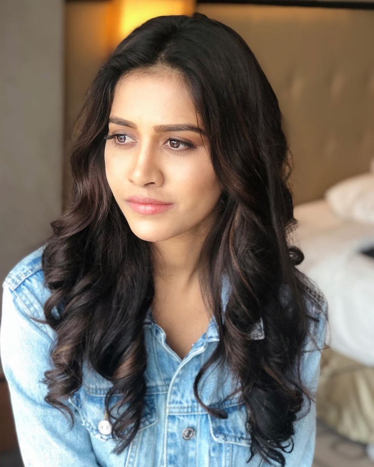 Nabha Natesh