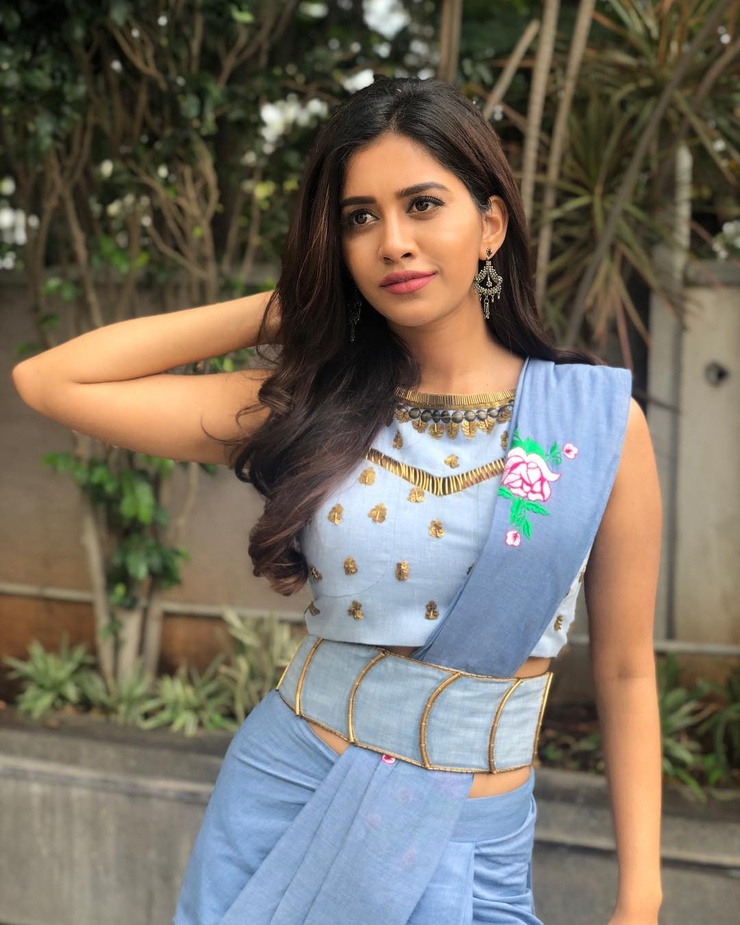Nabha Natesh