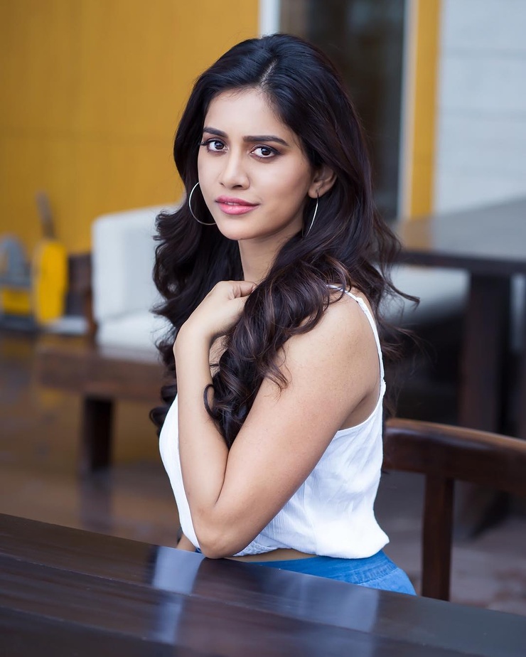 Nabha Natesh