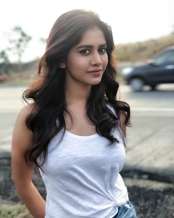 Nabha Natesh