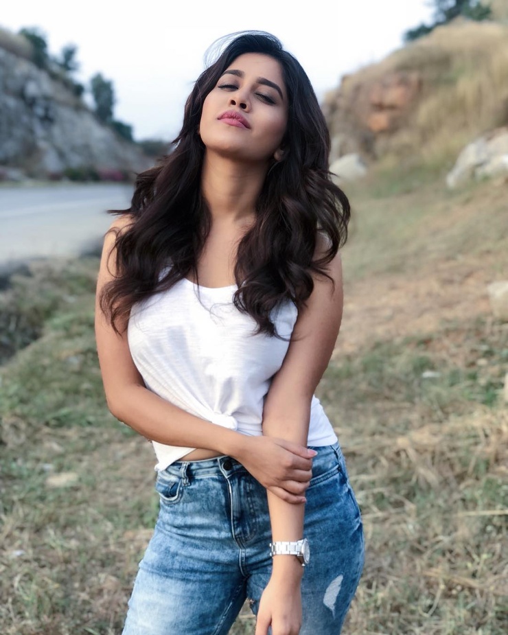 Nabha Natesh