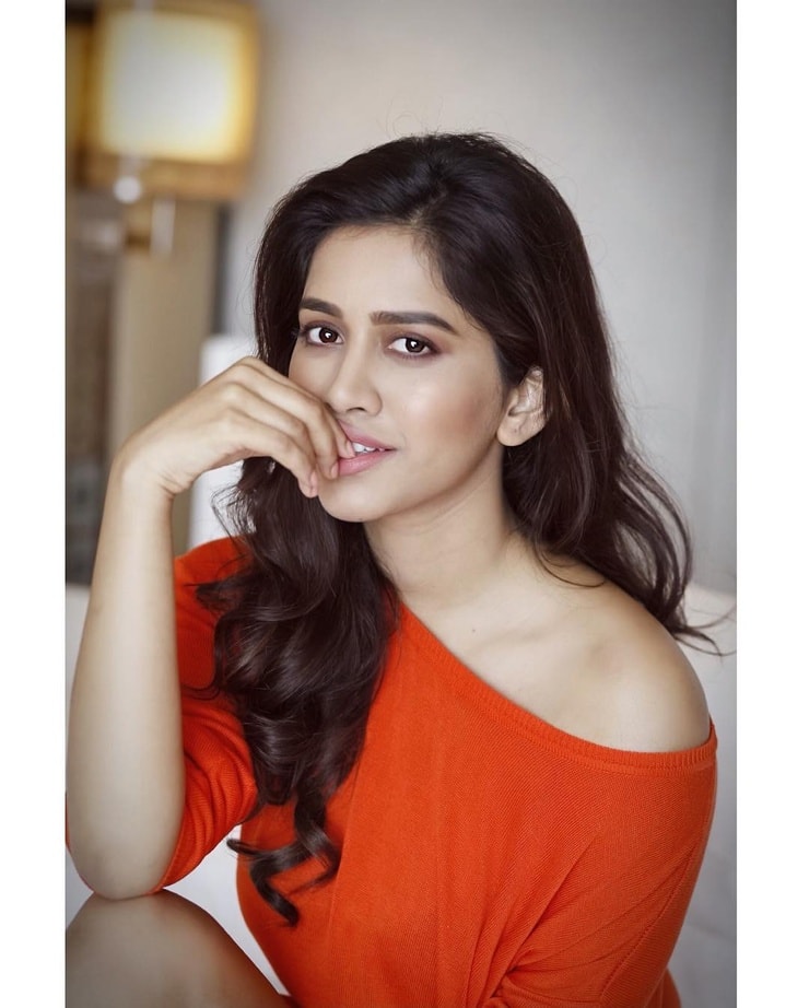 Nabha Natesh