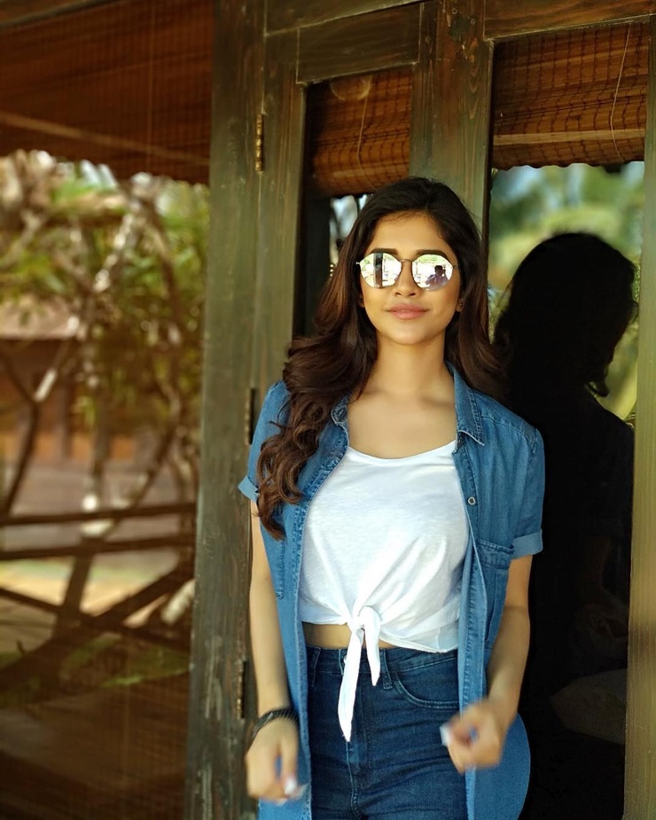 Nabha Natesh